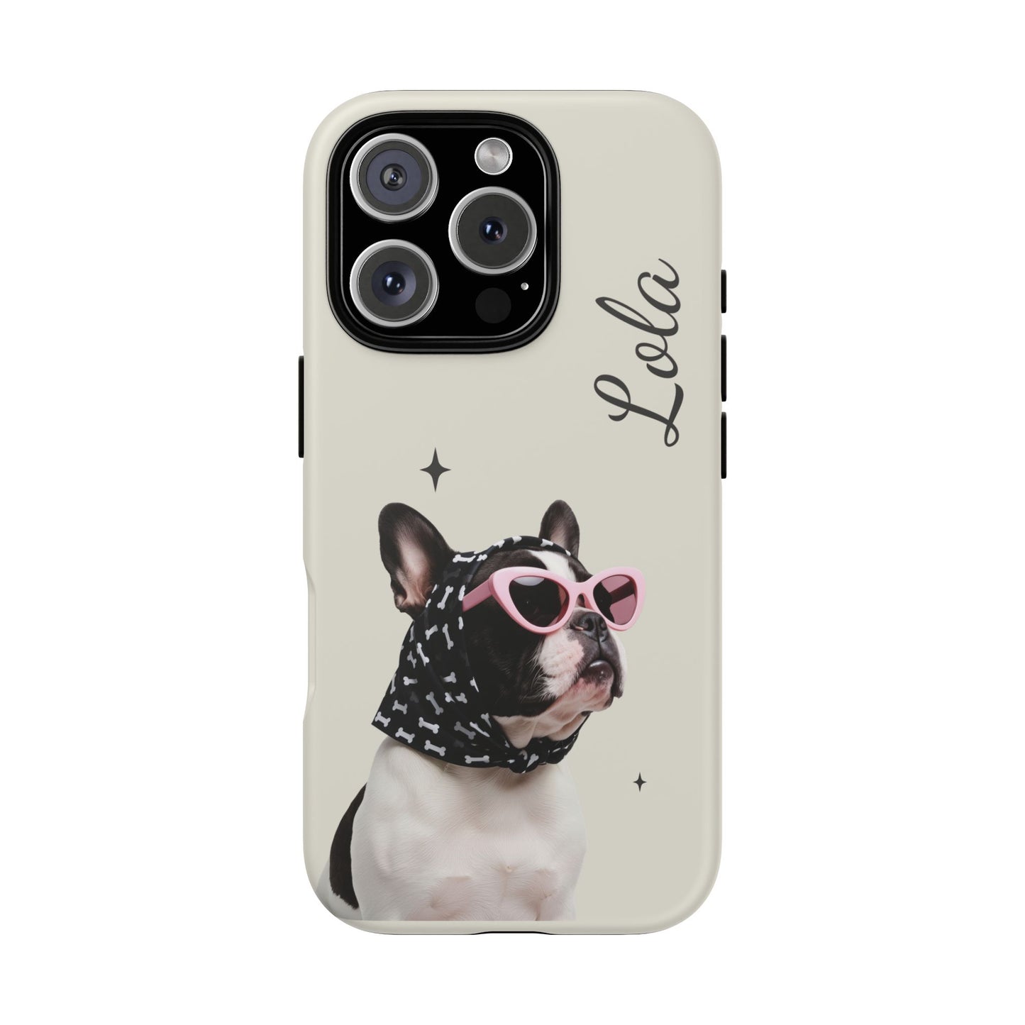 Retro Sunglasses Pet Portrait Case