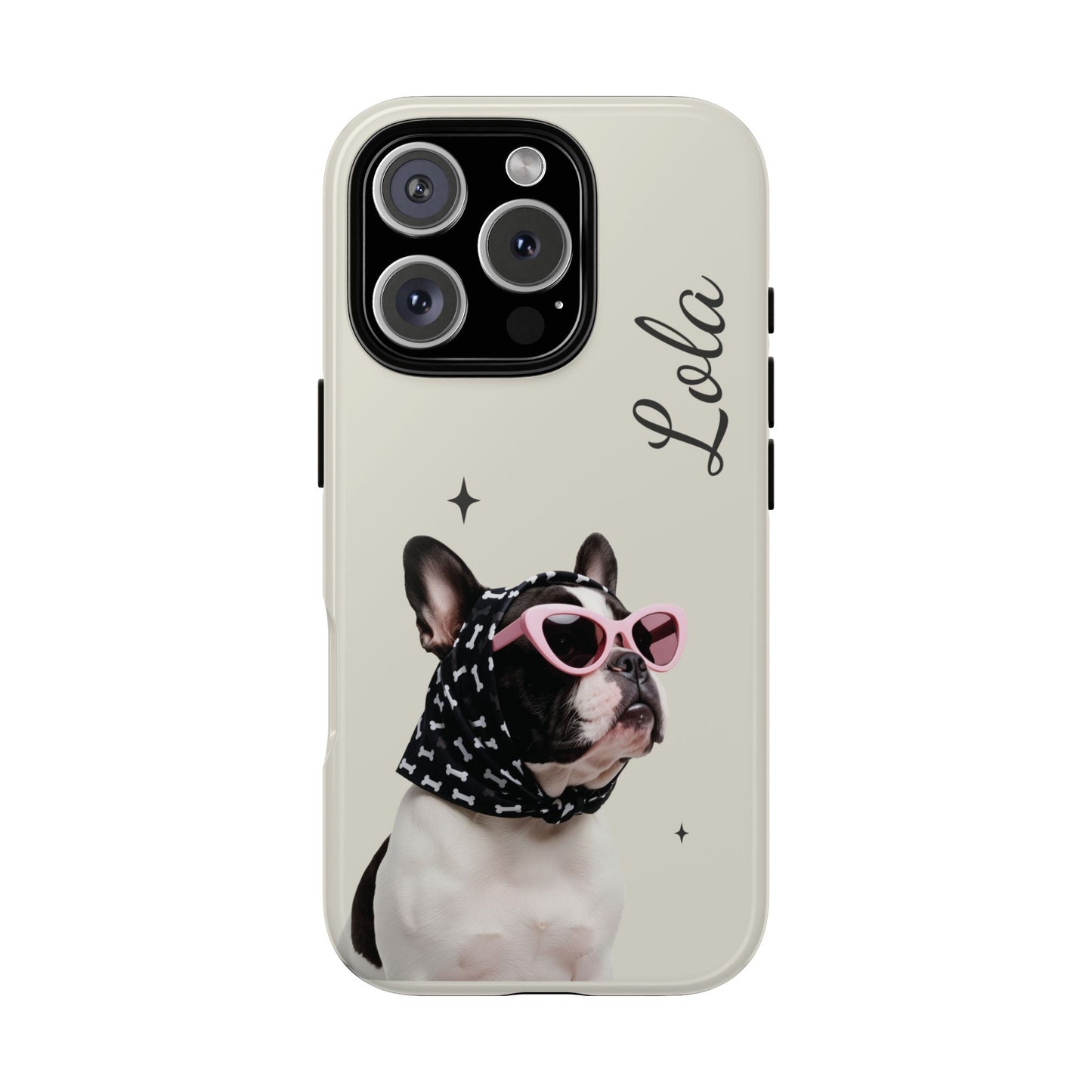 Retro Sunglasses Pet Portrait Case