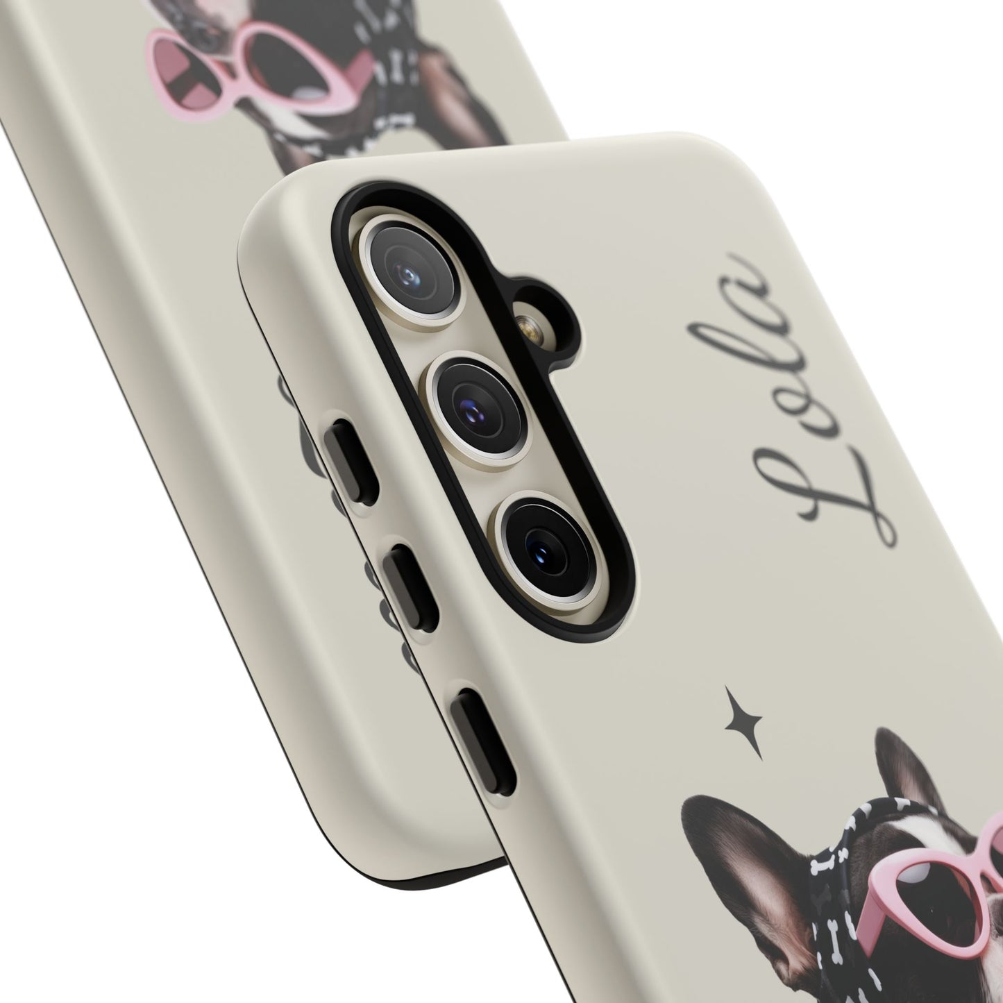 Retro Sunglasses Pet Portrait Case