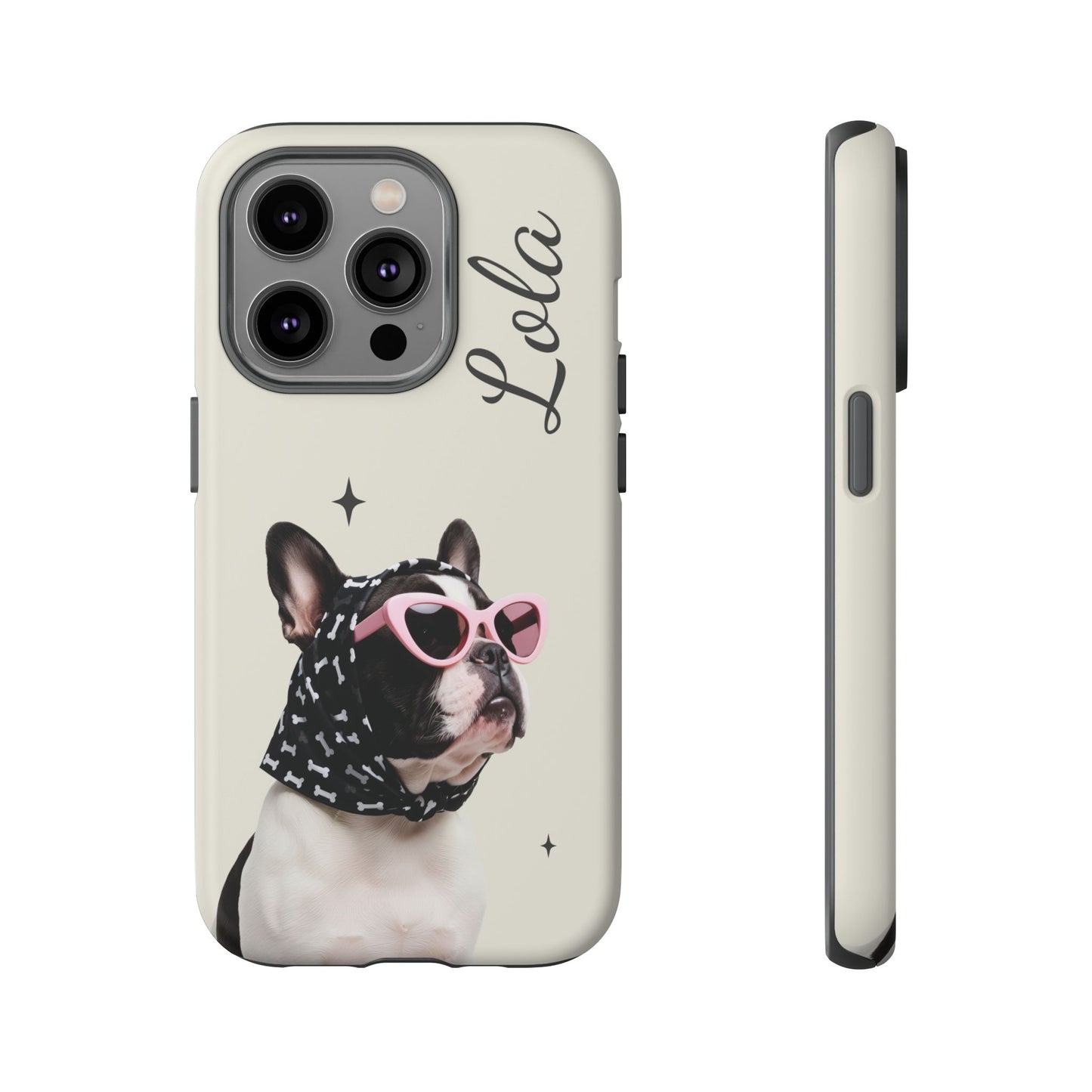 Retro Sunglasses Pet Portrait Case