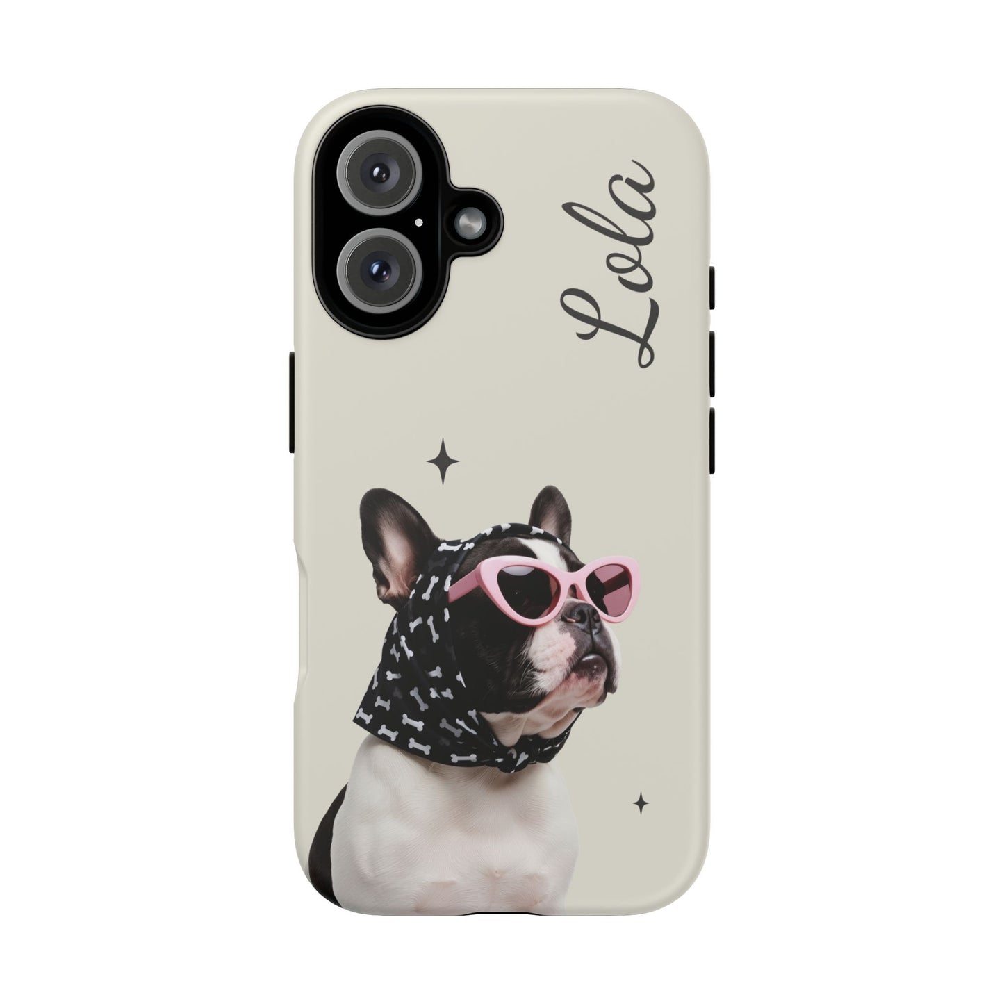 Retro Sunglasses Pet Portrait Case