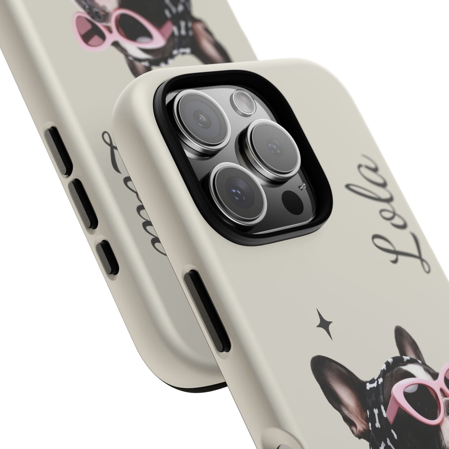 Retro Sunglasses Pet Portrait Case