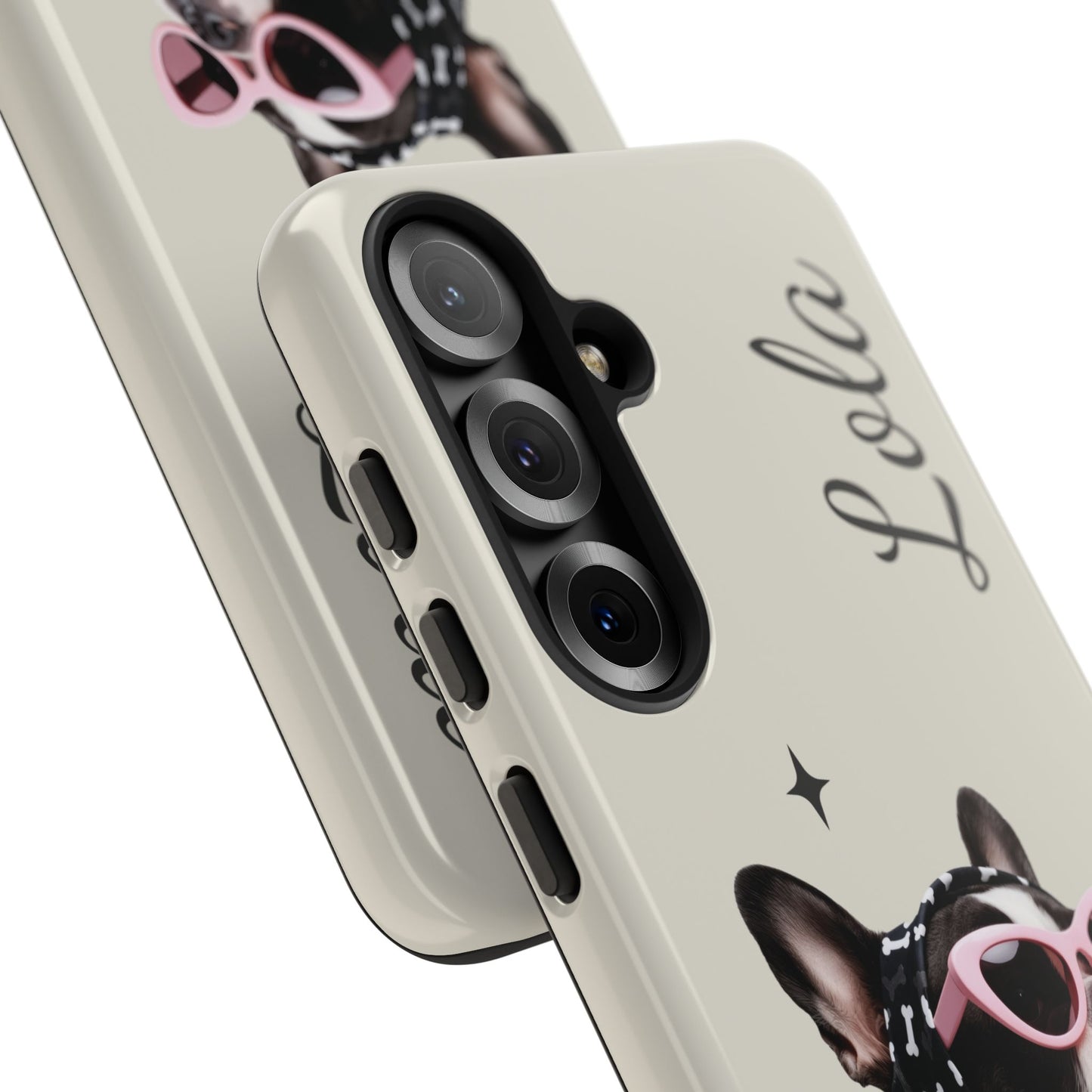 Retro Sunglasses Pet Portrait Case