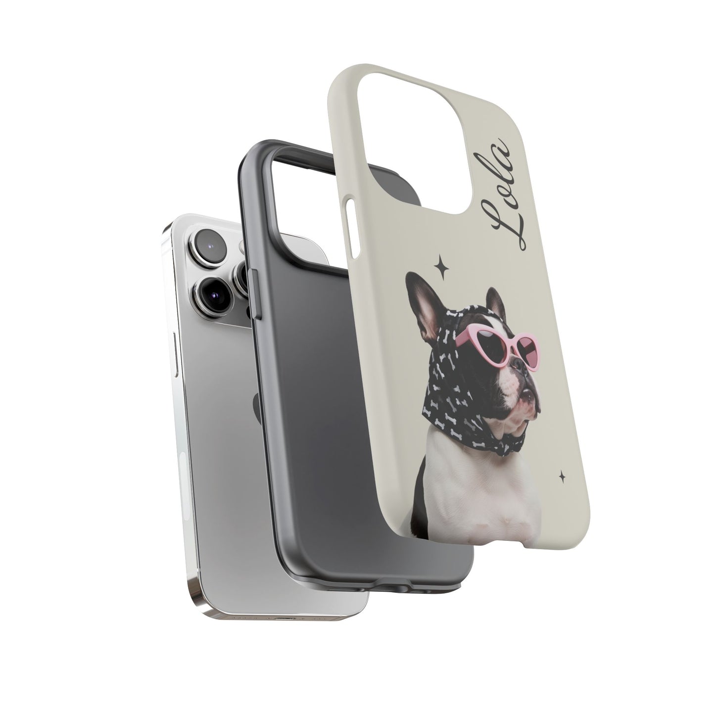 Retro Sunglasses Pet Portrait Case