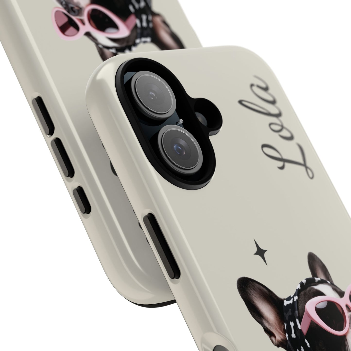 Retro Sunglasses Pet Portrait Case