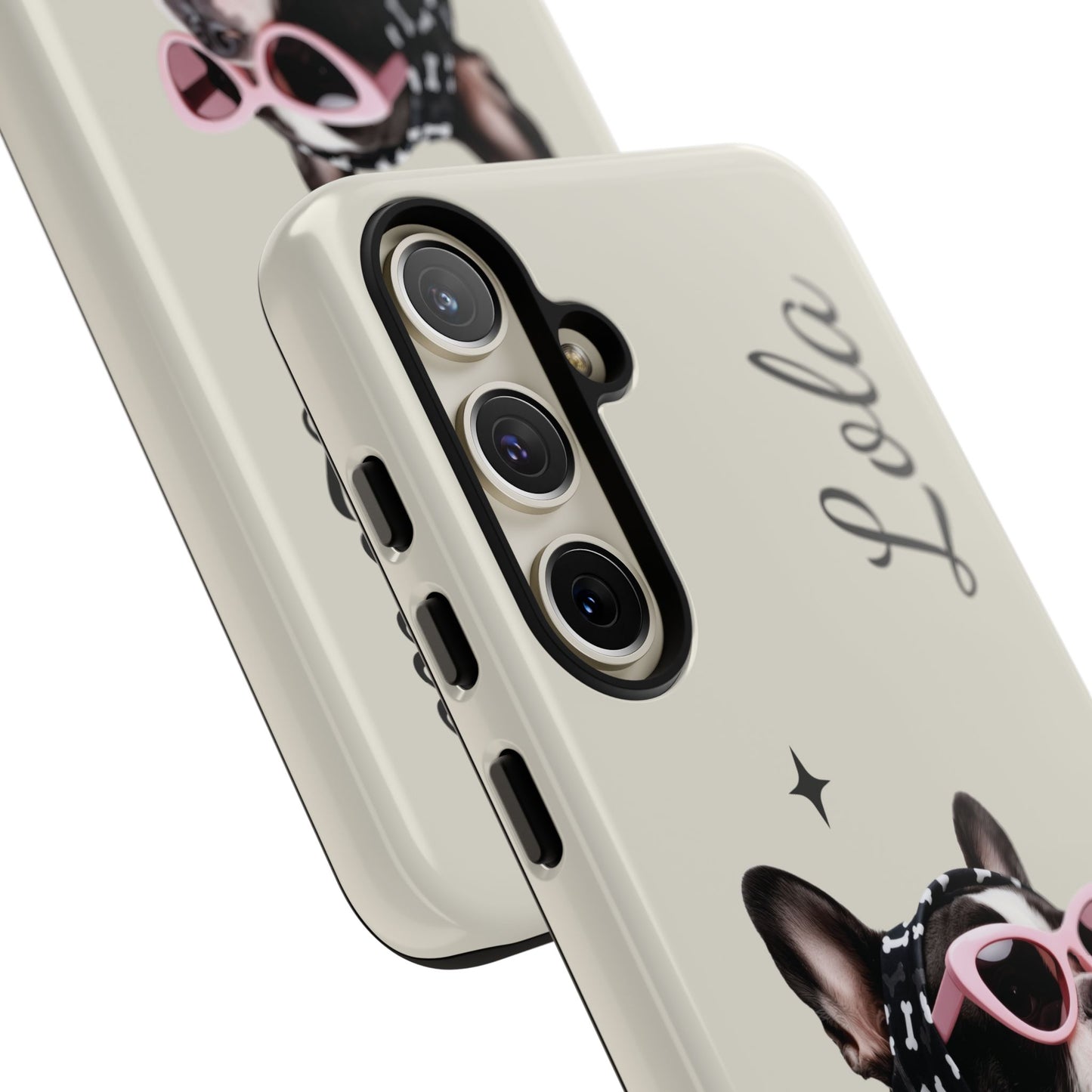 Retro Sunglasses Pet Portrait Case